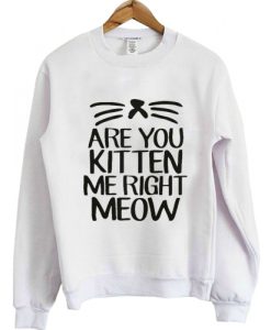 Are-You-Kitten-Me-Right-Meow-Sweatshirt