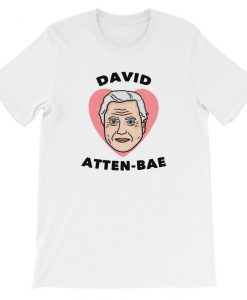 David Atten bae T-Shirt
