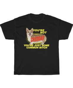 You’re Not Cheddar You’re Just Some Common Bitch T shirt