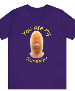 You Are My Sunshine T Shirt
